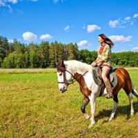 Animal Behavior Associates ico