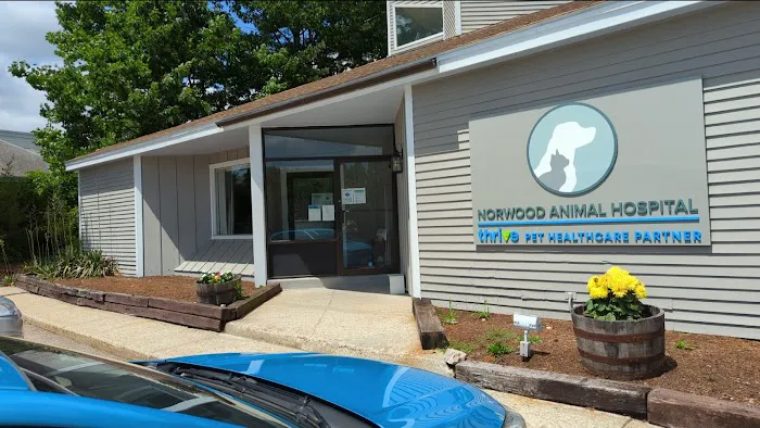 Norwood Animal Hospital, A Thrive Pet Healthcare Partner Picture 1