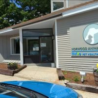 Norwood Animal Hospital, A Thrive Pet Healthcare Partner ico