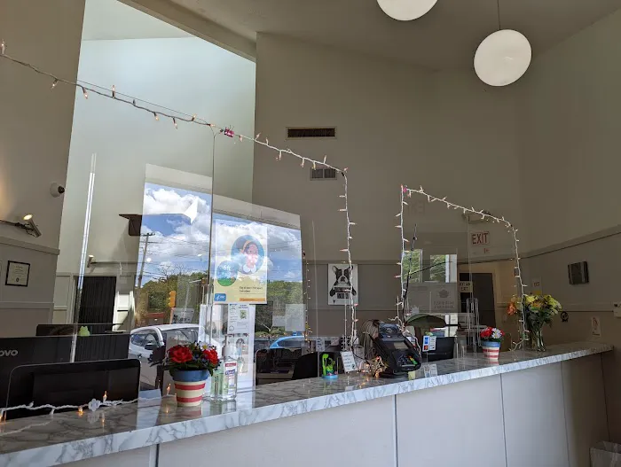 Norwood Animal Hospital, A Thrive Pet Healthcare Partner Picture 4