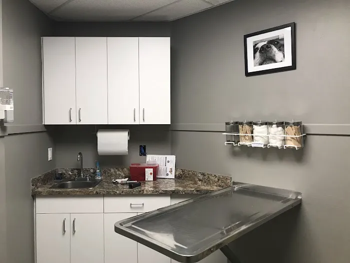 Norwood Animal Hospital, A Thrive Pet Healthcare Partner Picture 8