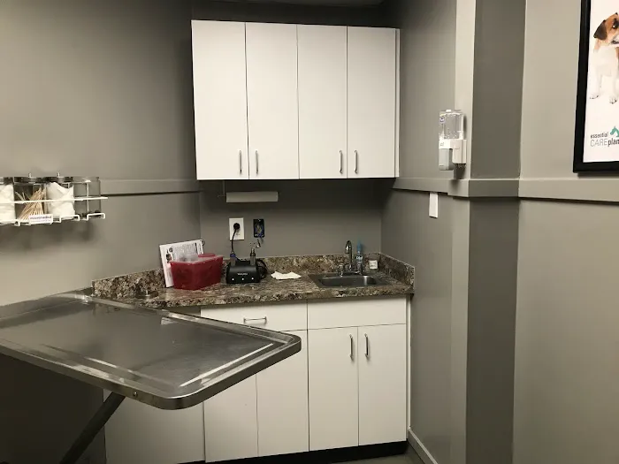 Norwood Animal Hospital, A Thrive Pet Healthcare Partner Picture 7