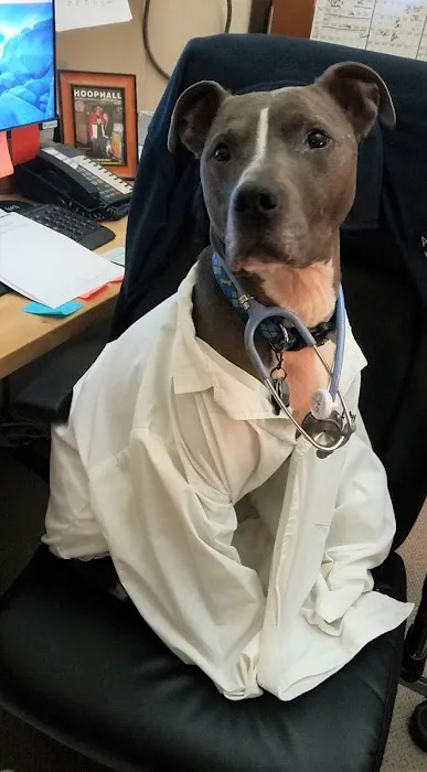 Norwood Animal Hospital, A Thrive Pet Healthcare Partner Picture 9