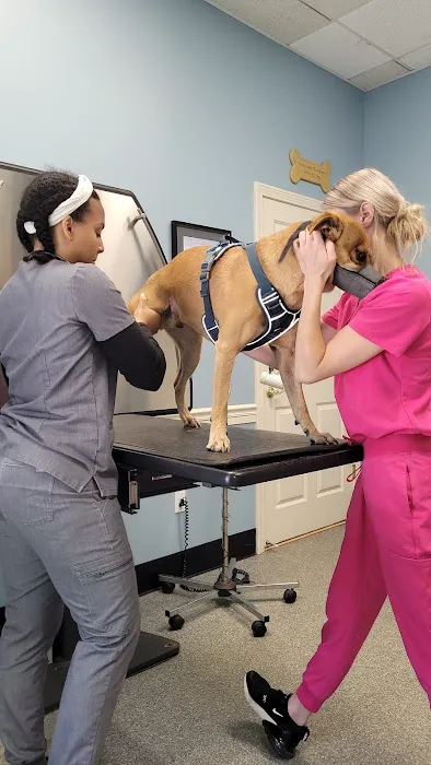 Ashfield Cheyne Veterinary Services Picture 6
