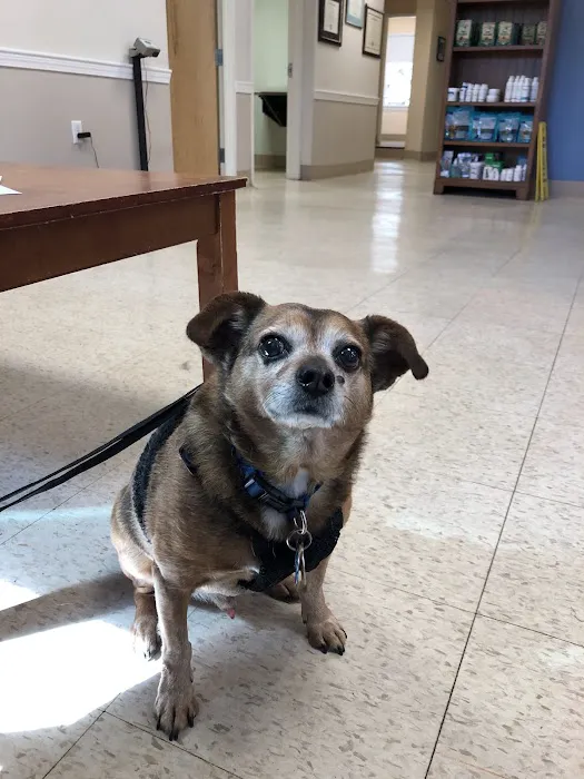 Foxboro Animal Hospital Picture 9