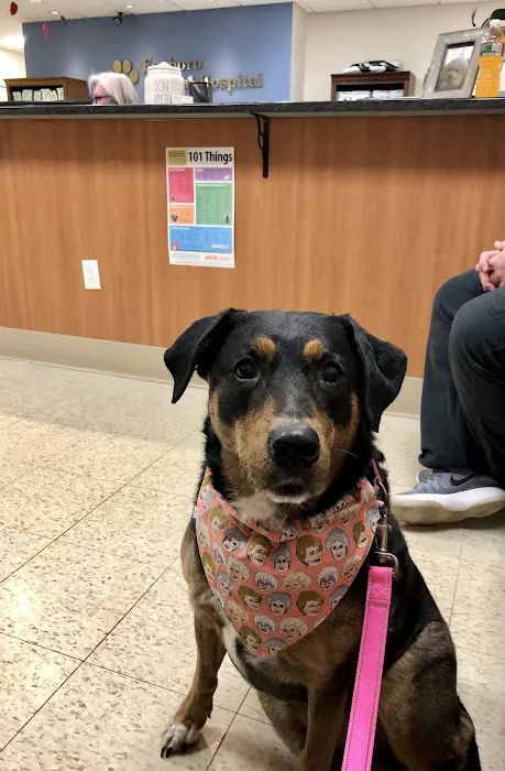 Foxboro Animal Hospital Picture 10