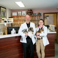 Sharon Veterinary Clinic ico