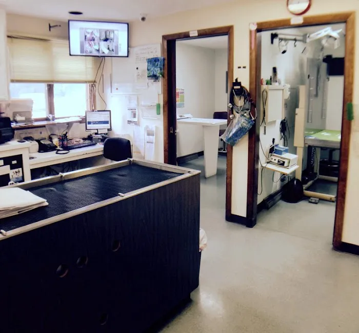 Sharon Veterinary Clinic Picture 8
