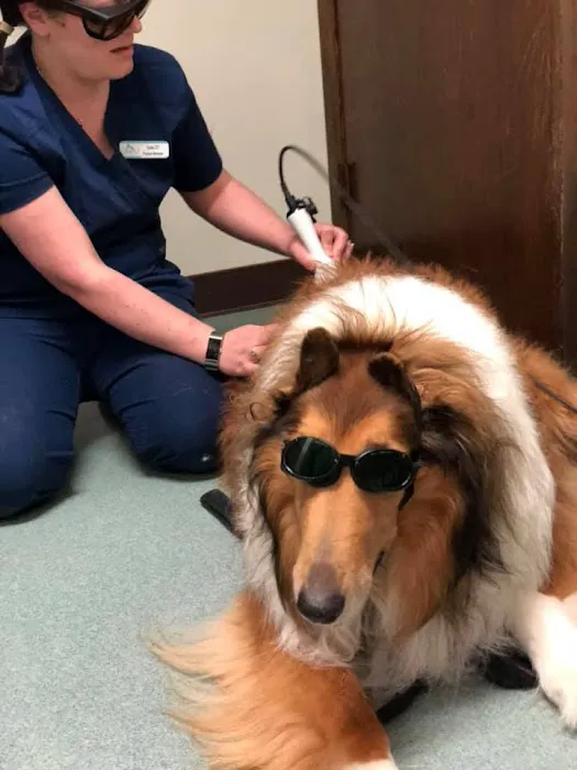 Sharon Veterinary Clinic Picture 5
