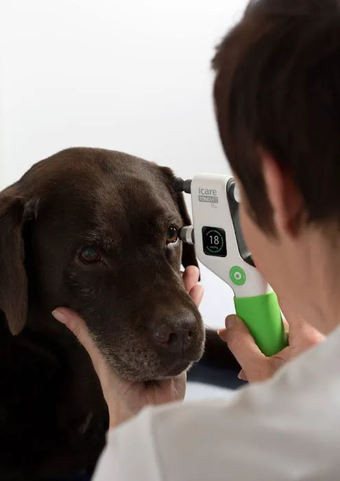 Sharon Veterinary Clinic Picture 10