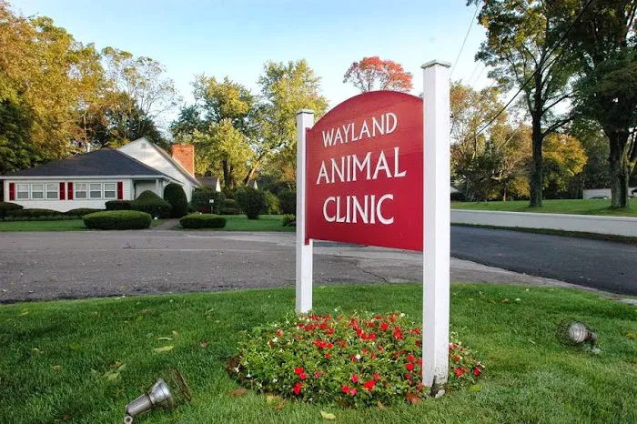 Wayland Animal Clinic Picture 8