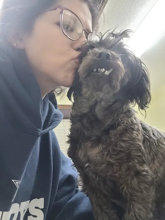 Vetco Total Care Animal Hospital Picture 3