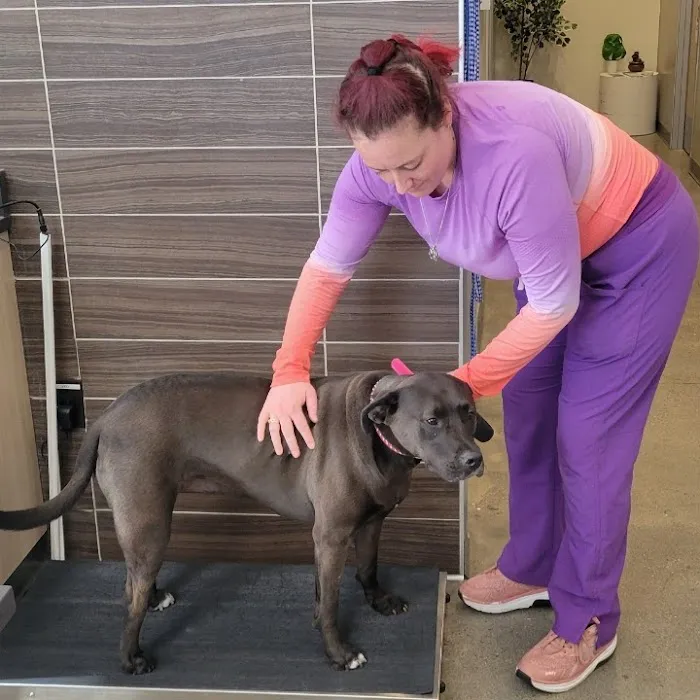 Vetco Total Care Animal Hospital Picture 7