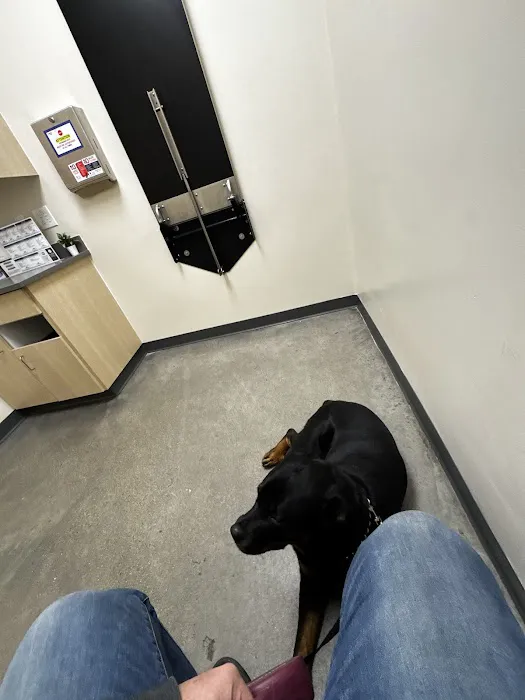 Vetco Total Care Animal Hospital Picture 6