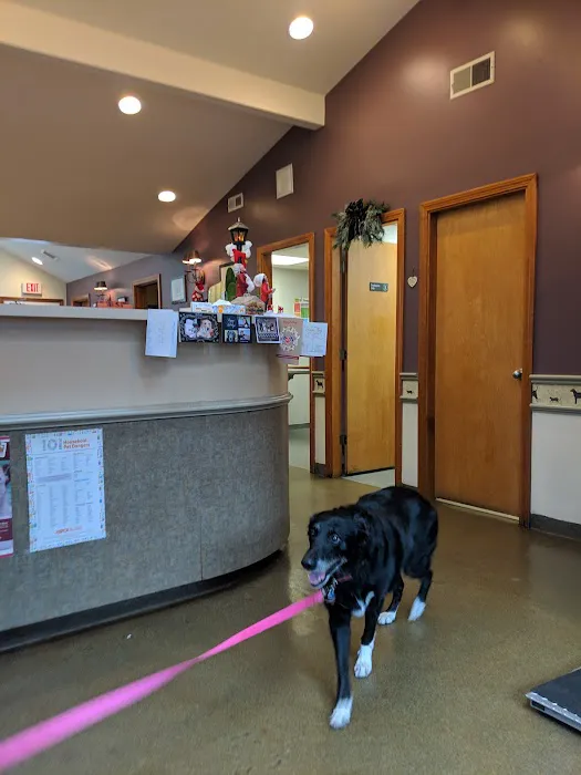 Sudbury Animal Hospital Picture 8