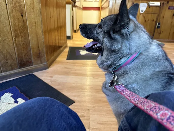 Framingham Animal Hospital Picture 4