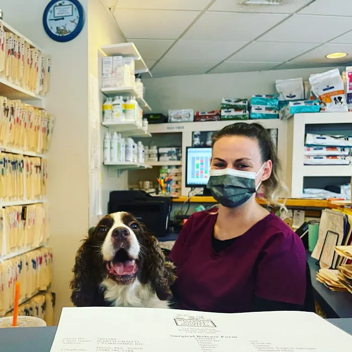 Wellesley Animal Hospital Picture 8