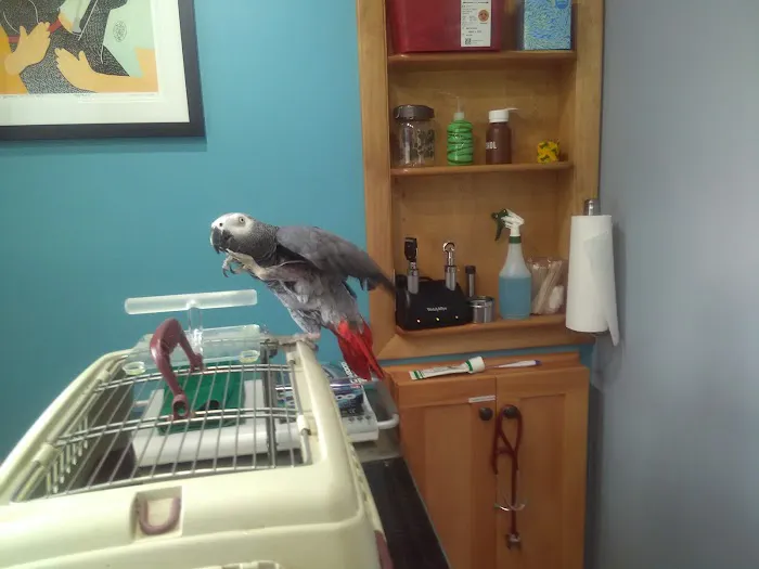 Spinnaker Veterinary Clinic Picture 2