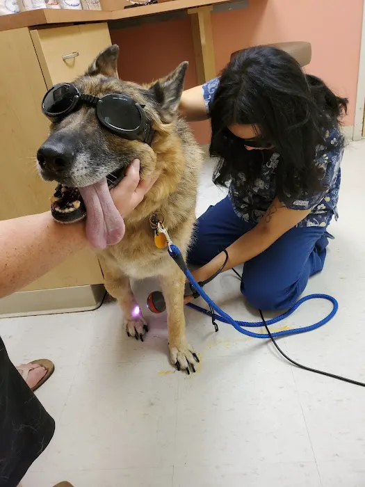 VCA Capeway Animal Hospital Picture 7