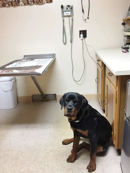 TLC Animal Hospital Rehoboth Picture 6