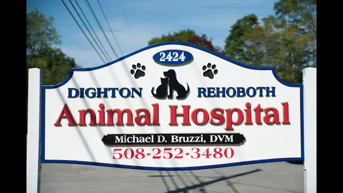 Dighton Rehoboth Animal Hospital, Inc Picture 4