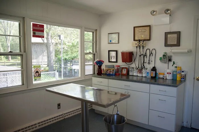 Dighton Rehoboth Animal Hospital, Inc Picture 2