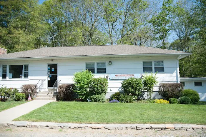 Dighton Rehoboth Animal Hospital, Inc Picture 5