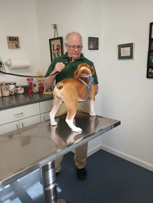 Dighton Rehoboth Animal Hospital, Inc Picture 8