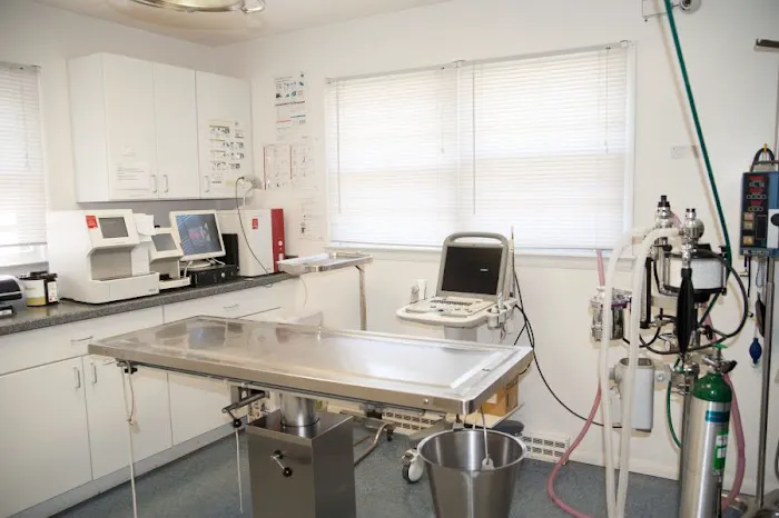 Dighton Rehoboth Animal Hospital, Inc Picture 9