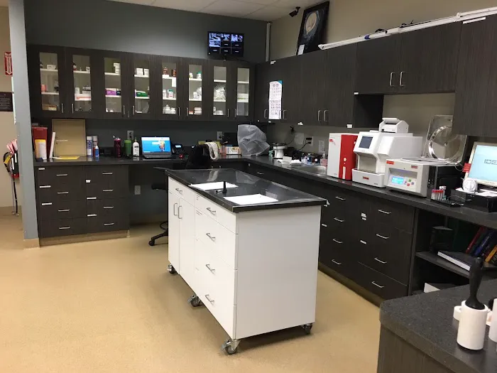 Animal Cancer Care Specialists Picture 2