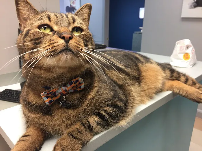 Whole Pet Veterinary Center Picture 2