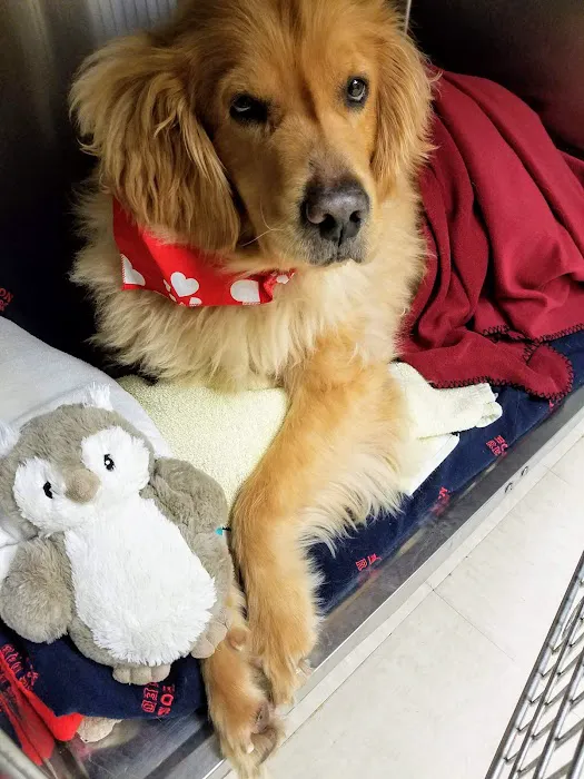 Whole Pet Veterinary Center Picture 8