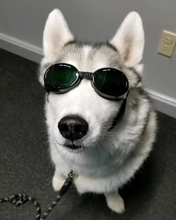 Whole Pet Veterinary Center Picture 10