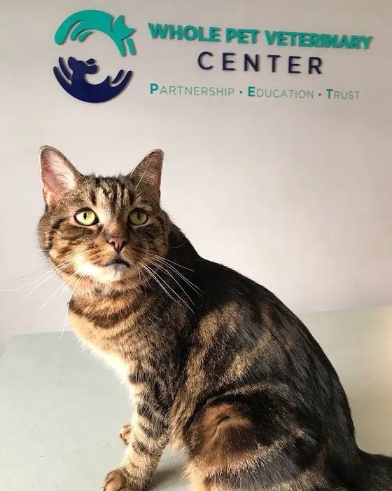 Whole Pet Veterinary Center Picture 7