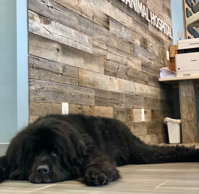 Powder Mill Animal Hospital Picture 1