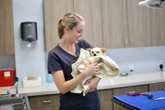 Powder Mill Animal Hospital Picture 5