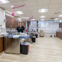Great Road Veterinary Hospital ico