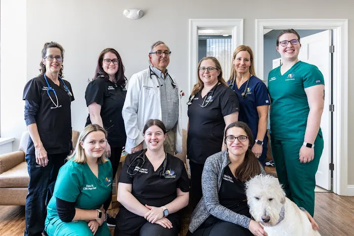 Great Road Veterinary Hospital Picture 5