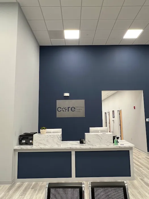 CORE Veterinary Surgical Clinic Picture 1