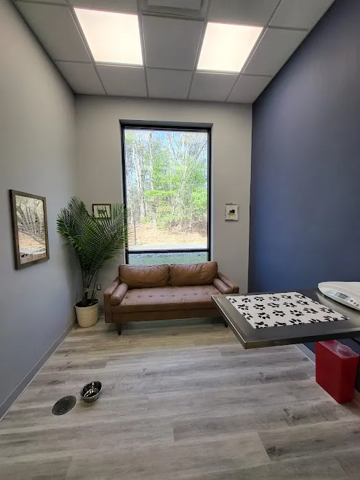 Maynard Veterinary Care Picture 1
