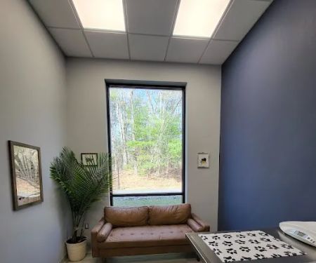 Maynard Veterinary Care