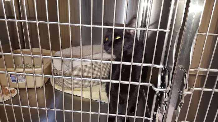 West Concord Animal Clinic Picture 3