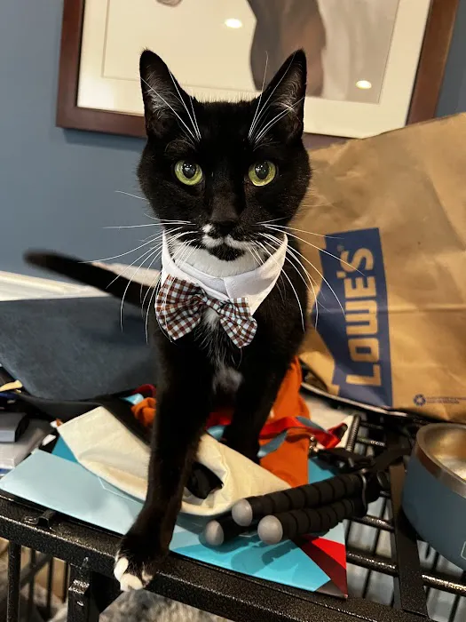 West Concord Animal Clinic Picture 2