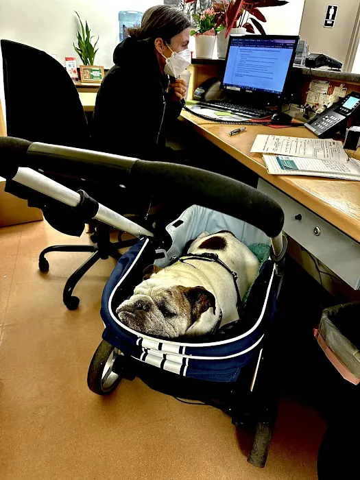 West Concord Animal Clinic Picture 8