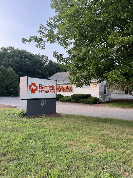 Banfield Pet Hospital Picture 4
