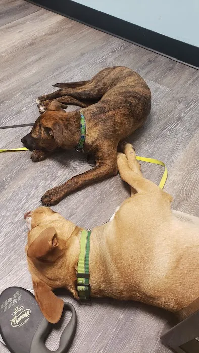 Banfield Pet Hospital Picture 3