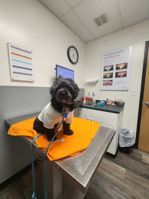 Banfield Pet Hospital Picture 5