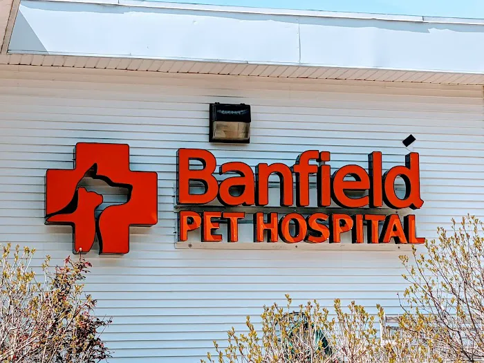Banfield Pet Hospital Picture 7