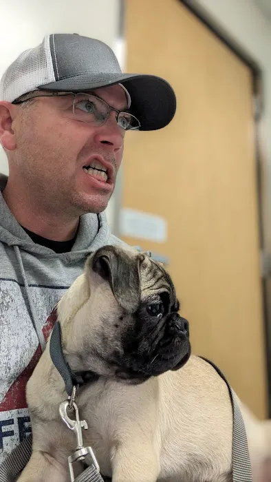 Mercy Animal Hospital: Kaas Richard E DVM Picture 3