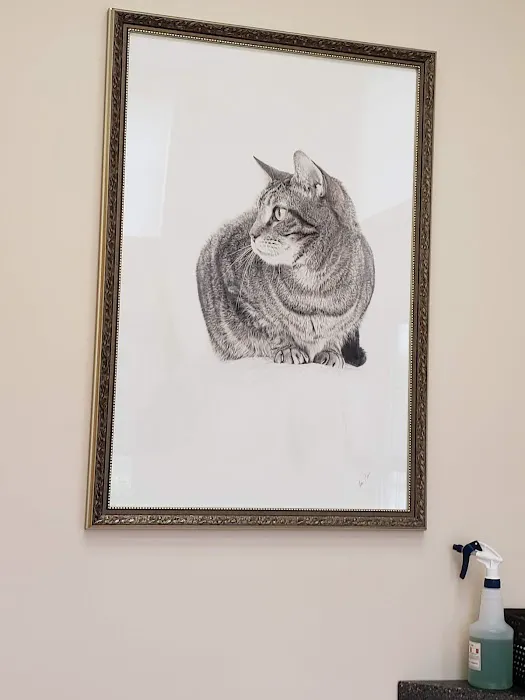 The Cat Doctor of Nashua Picture 3